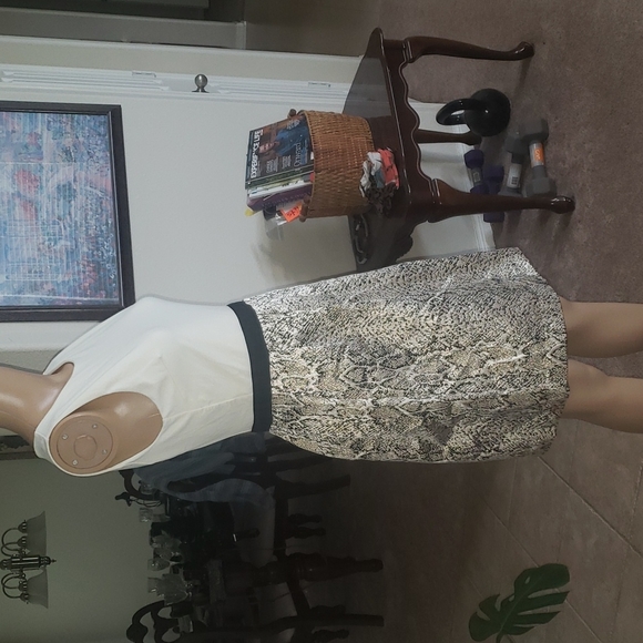 Donna Ricco s butter soft cream upper metallic snakeskin poof skirt sparkly midi - Picture 6 of 7